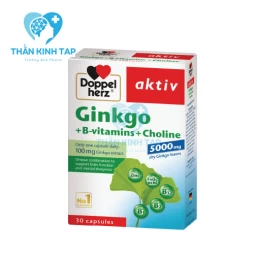 Ginkgo + B-vitamins + Choline - Bổ sung dưỡng chất cho não bộ
